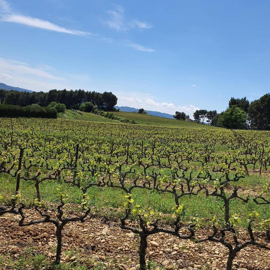 Bastide Bellugue Maison D'Hotes Reseau Bienvenue A La Ferme A 3 Minutes De Lourmarin Cadenet Luaran gambar