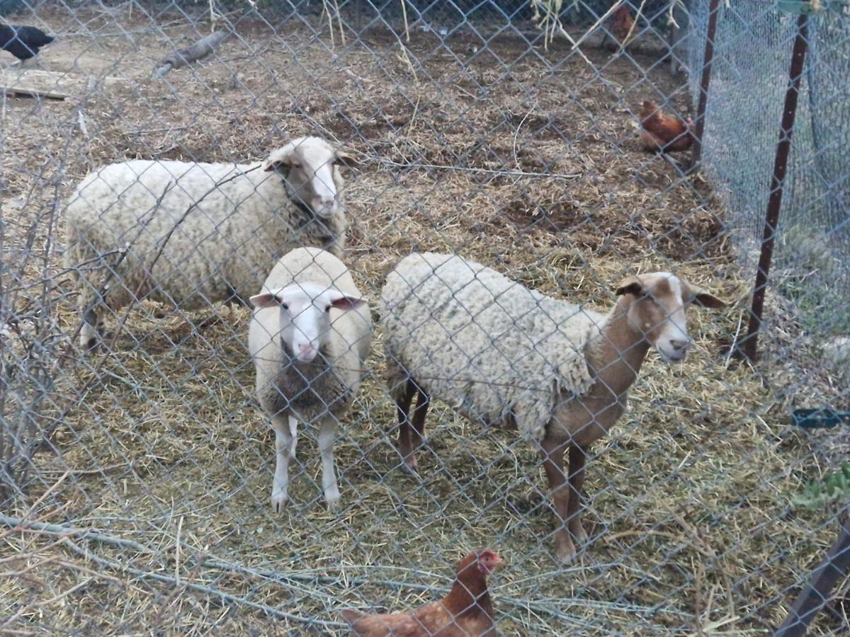 Bastide Bellugue Maison D'Hotes Reseau Bienvenue A La Ferme A 3 Minutes De Lourmarin Cadenet Luaran gambar