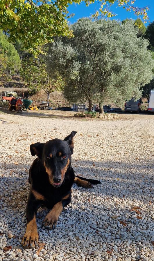 Bastide Bellugue Maison D'Hotes Reseau Bienvenue A La Ferme A 3 Minutes De Lourmarin Cadenet Luaran gambar
