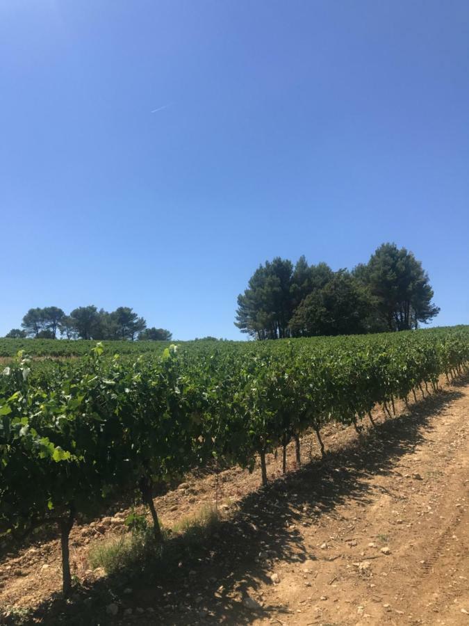 Bastide Bellugue Maison D'Hotes Reseau Bienvenue A La Ferme A 3 Minutes De Lourmarin Cadenet Luaran gambar