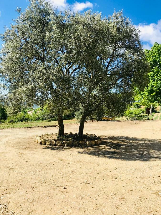 Bastide Bellugue Maison D'Hotes Reseau Bienvenue A La Ferme A 3 Minutes De Lourmarin Cadenet Luaran gambar